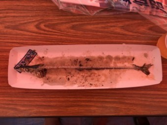 IMG_1154 IMG_1154-e1539498448562